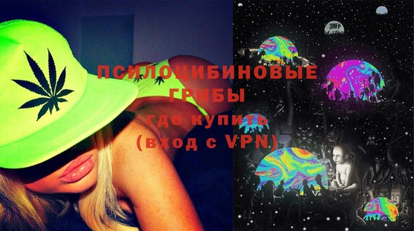 соль ск Алзамай