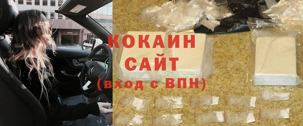 соль ск Алзамай