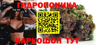 крисы Кудрово