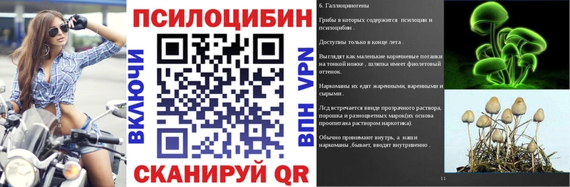 купить закладку Бердск Псилоцибиновые грибы мицелий