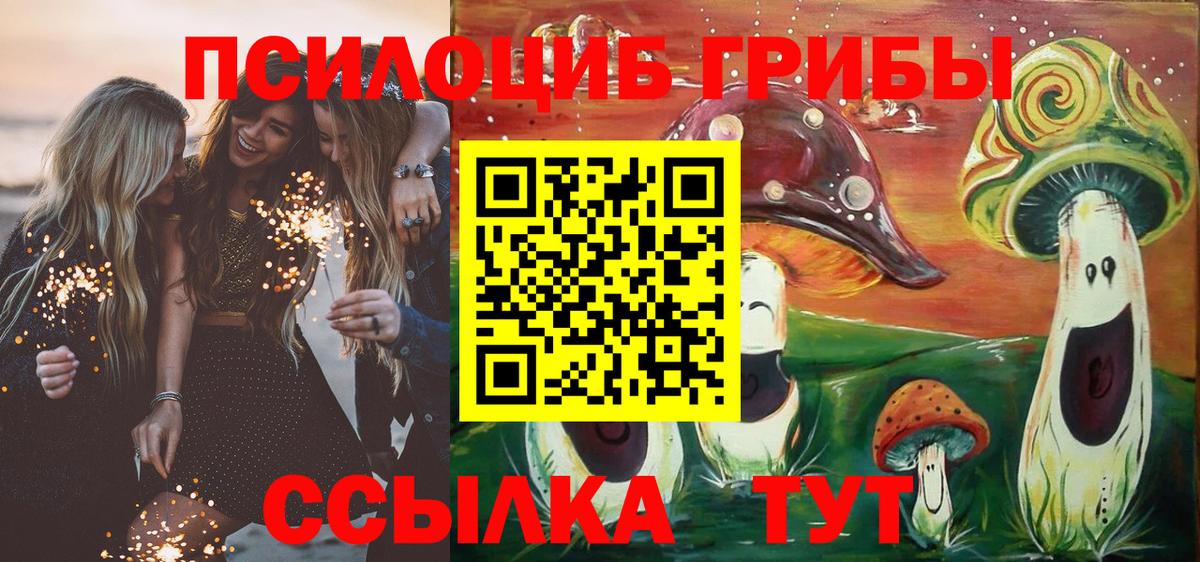 Псилоцибиновые грибы мицелий  Галлюциногенные грибы ЛСД  Бердск  Вход с VPN 
